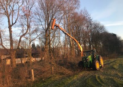 Gehölze vertikal und horizontal zurück schneiden mit unsere Astsäge